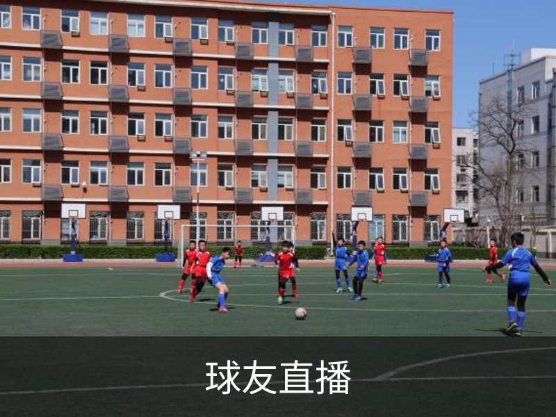 了解球友直播